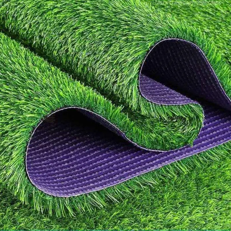 Turf Grass